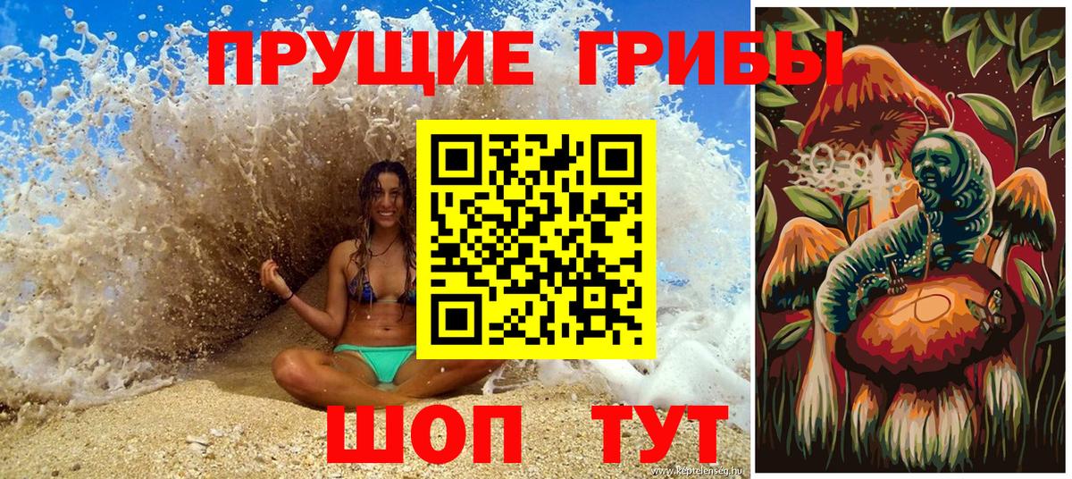 Галлюциногенные грибы Psilocybe  Вход с VPN  Усть-Джегута 